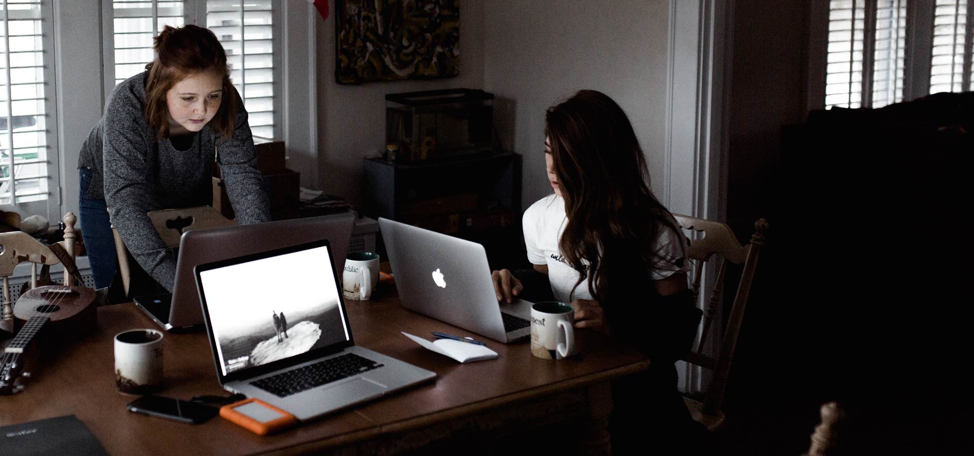 Two female entrepreneurs working on laptops